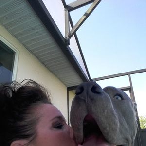 Meet your Posher, Amber